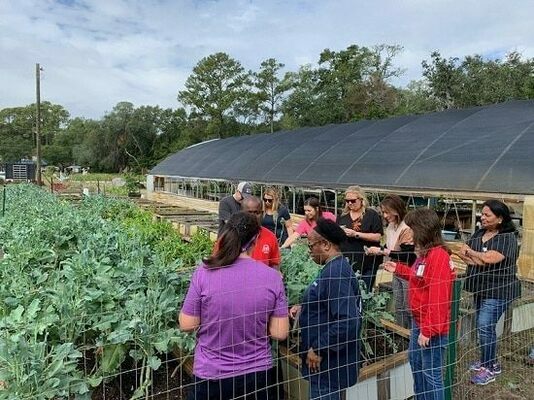 Members of DHEC’s Pee Dee Regional Leadership Team tour the Carolina Human Reinvestment Community Garden in Pawleys Island.