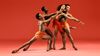 Dance Theatre of Harlem is a leading dance institution of unparalleled global acclaim, encompassing a professional touring company, a leading studio school, and a national and international education and community outreach program.