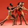 Dance Theatre of Harlem is a leading dance institution of unparalleled global acclaim, encompassing a professional touring company, a leading studio school, and a national and international education and community outreach program.